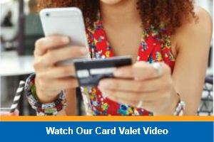 Card Valet Video video
